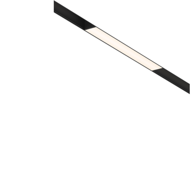 Трековый светильник MAYTONI BASIS TR074-2-12W3K-B